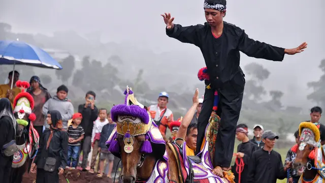 CIBOGO HORSE FESTIVAL