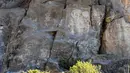 Foto lukisan batu di klaster seni cadas Gunung Zhuozi di Daerah Otonom Mongolia Dalam, China pada 17 Oktober 2020. Terletak di perbatasan Wuhai dan Ordos, Gunung Zhuozi adalah tempat dengan banyak lukisan batu yang berguna untuk penelitian tentang asal muasal nomad kuno di China. (Xinhua/Peng Yuan)
