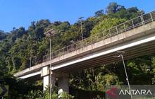 Greenpeace Dorong Perdagangan Karbon sebagai Kunci Pendanaan Penyelamatan Hutan di Indonesia