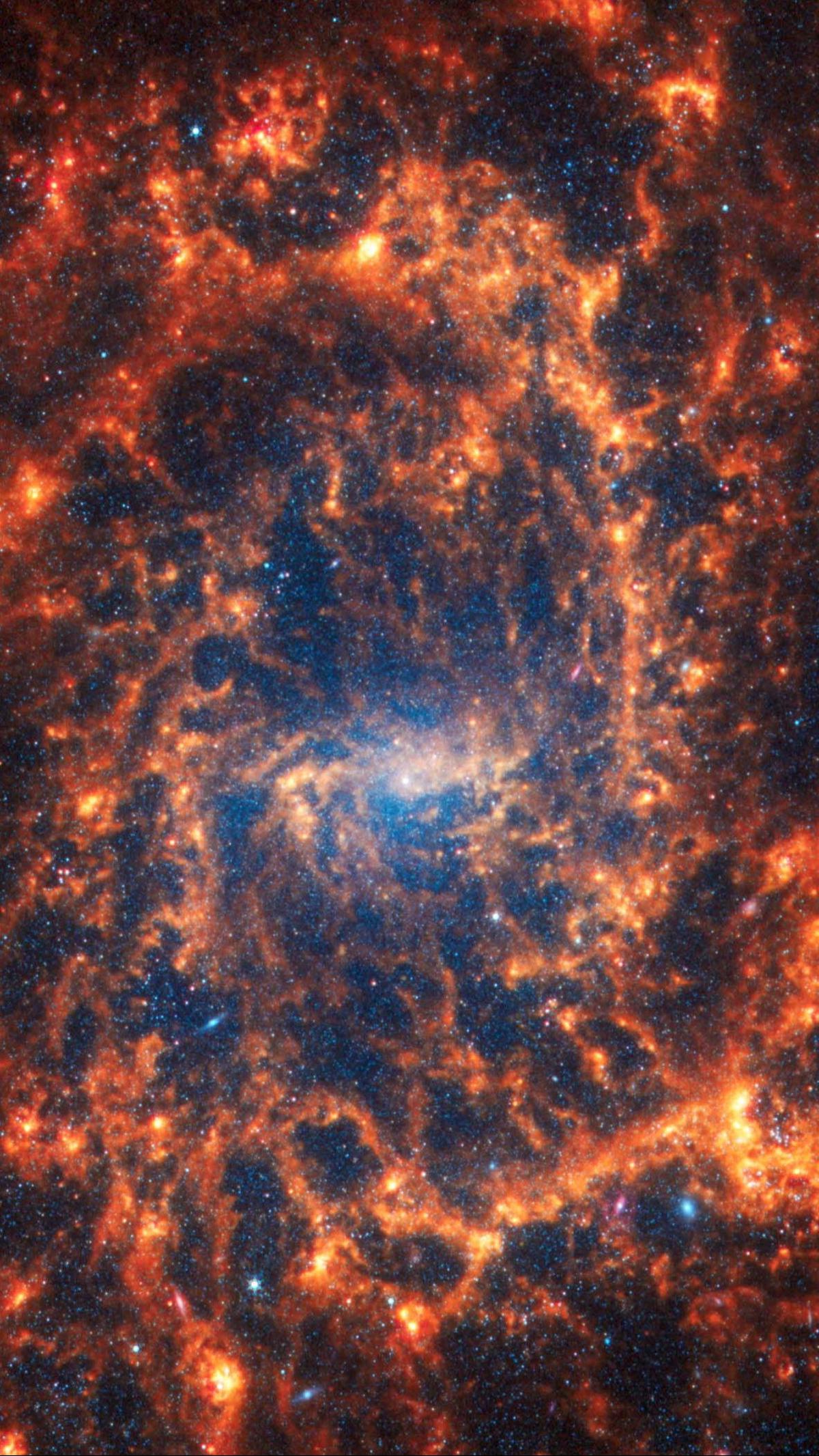 Galaksi spiral SS NGC 2835, yang terletak 35 juta tahun cahaya dari Bumi, terlihat dalam gambar tak bertanggal&nbsp;yang ditangkap Teleskop Luar Angkasa James Webb.&nbsp;Foto: PHANGS team/Handout via REUTERS