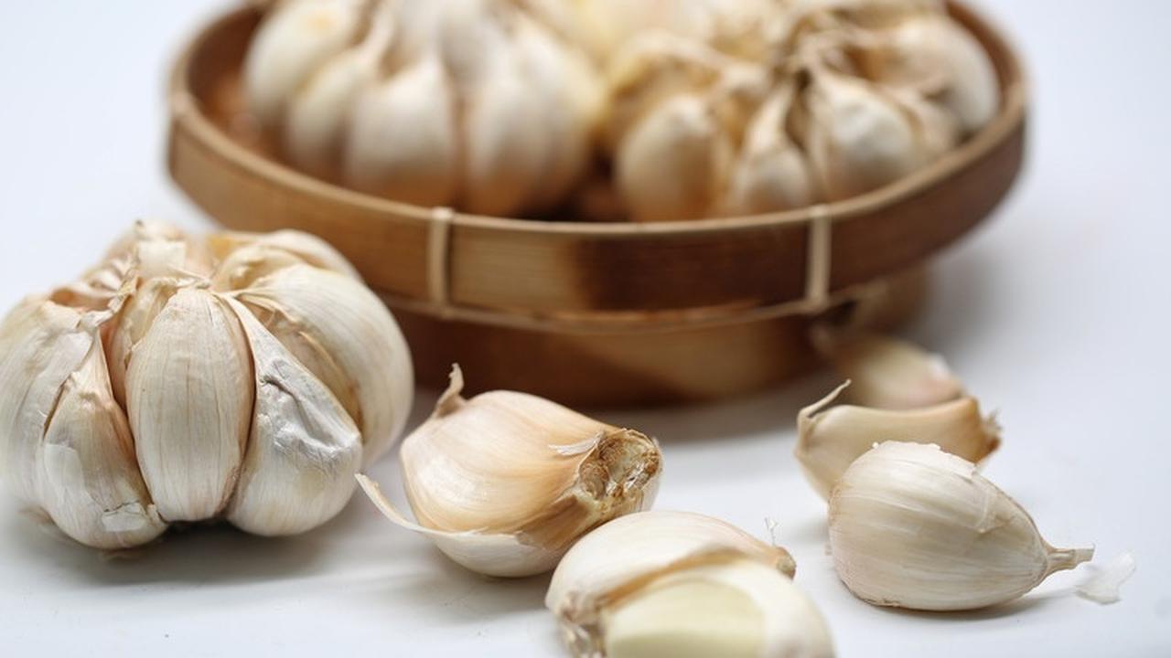 10 Herbal Penurun Tekanan Darah Tinggi Terbaik, Pilihan Alami yang Efektif