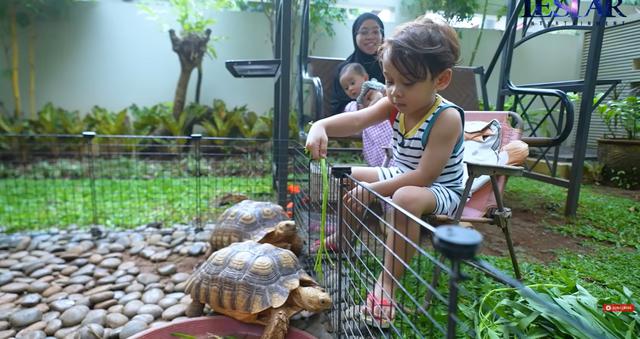 7 Potret taman rumah Lesti Kejora, minimalis tapi asri banget