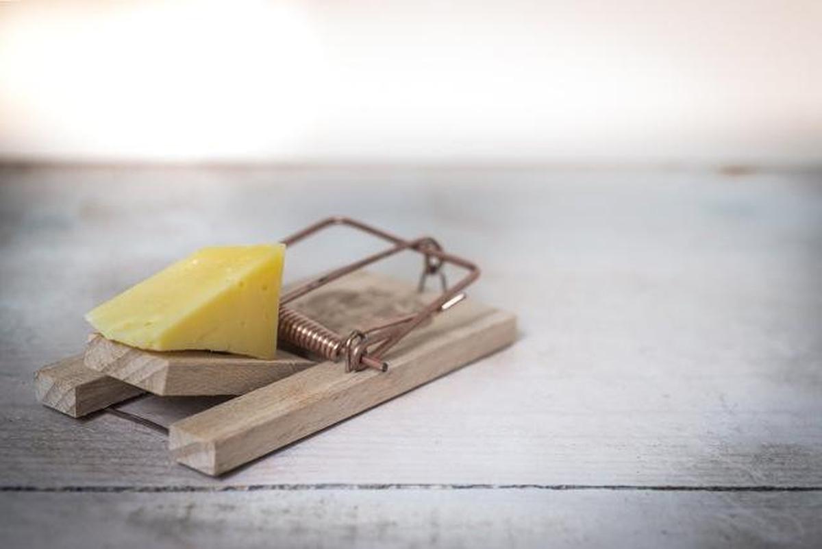 Perangkap Tikus (Image by Rudy and Peter Skitterians from Pixabay)