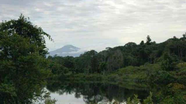 Danau Nibung di Kabupaten Mukomuko, Bengkulu