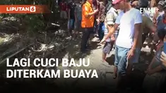Ibu Hamil Diterkam Buaya saat Cuci Baju di Aliran Sungai