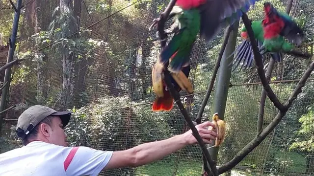 Keeper hewan di Bandung Zoo tengah mempersiapkan dan memberi makan hewan. (Liputan6.com/Arie Nugraha)