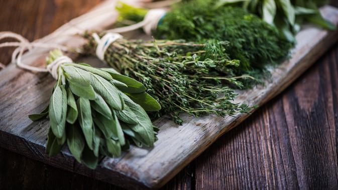 Ilustrasi tanaman herbal (iStockphoto)