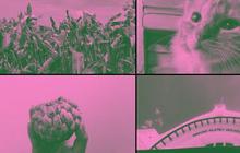 Apa itu Brave Pink Hero Green? Gerakan yang Sedang Viral di Media Sosial Usai Demo