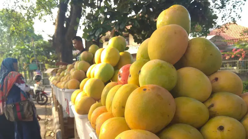 Berkah Lebaran Pedagang Mangga Gedong Gincu Cirebon