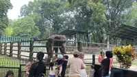 Ragunan Siapkan 27 Titik Parkir Antisipasi Lonjakan Pengunjung