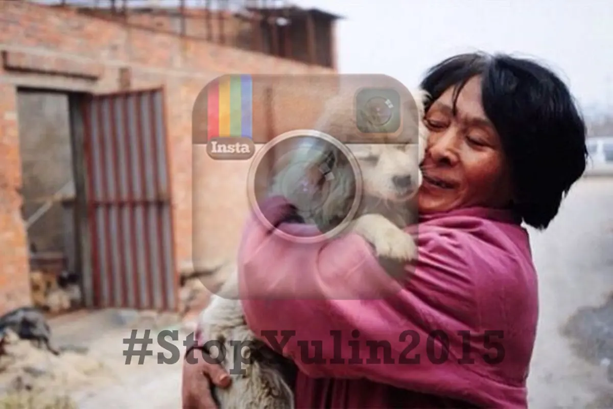 #StopYulin2015, Kampanye Cinta Hentikan Festival Yulin di China