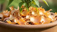 8 Manfaat Kulit Bawang Merah untuk Tanaman Cabai, Daun Subur dan Tidak Rontok