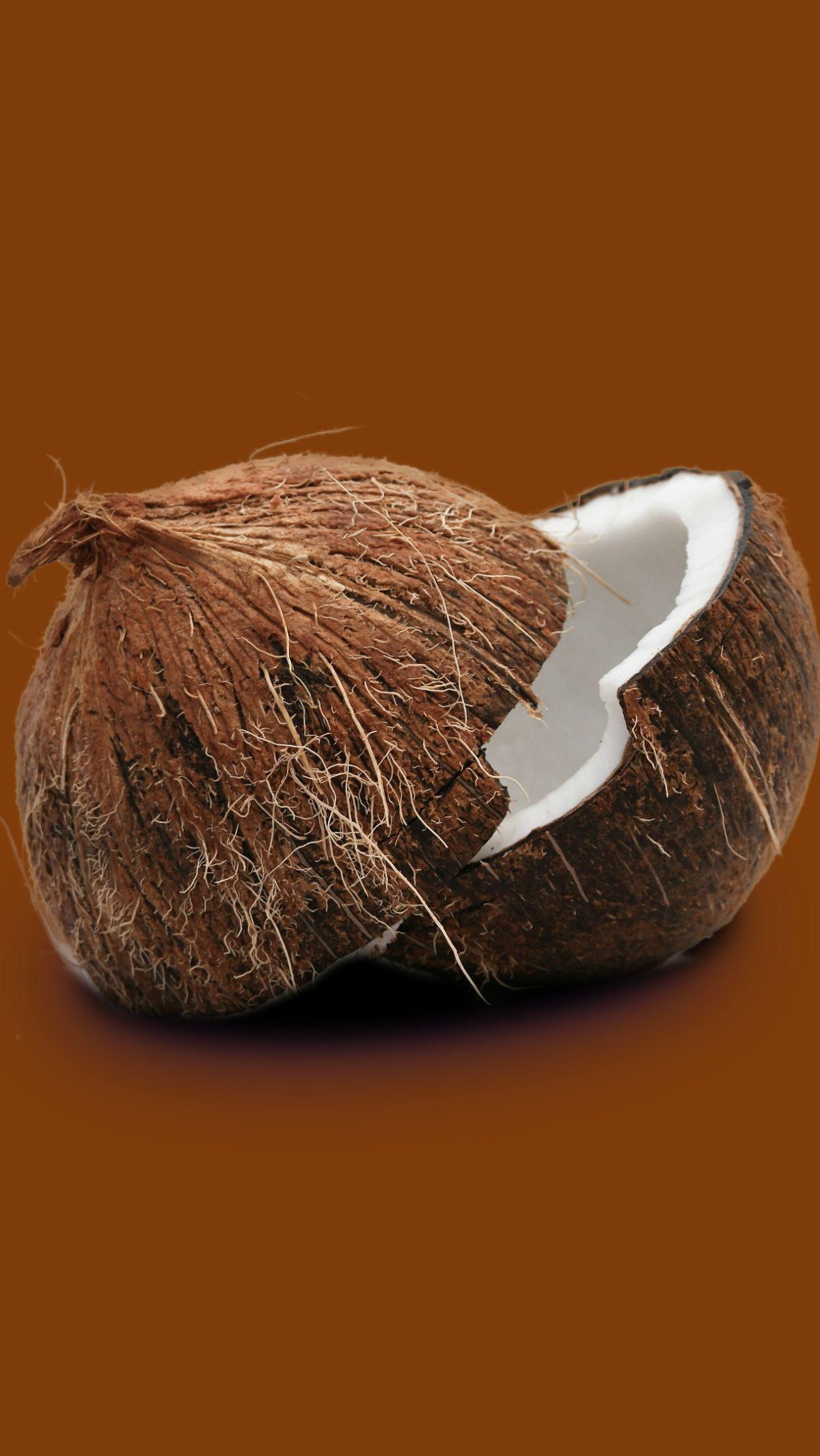 <b>Manfaat Kelapa Bakar</b>