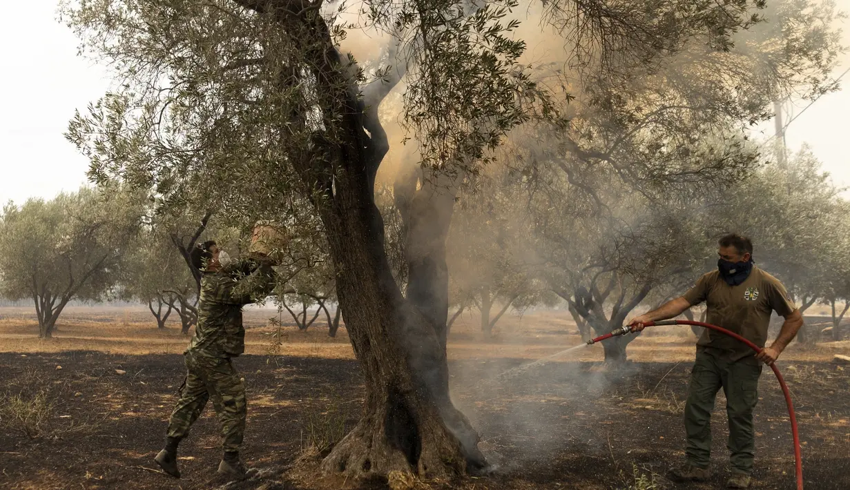 Pihak berwenang menemukan 18 mayat di wilayah Alexandroupolis di timur laut Yunani, menurut The Associated Press. (AP Photo/Achilleas Chiras)