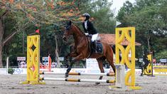 Selebritas Indonesia, Melody Laksani berkompetisi dalam cabang olahraga berkuda nomor show jumping Turnamen Olahraga Selebriti Indonesia (TOSI) Season 3 yang berlangsung di Arthayasa Stable, Depok, Jawa Barat, Jumat (01/11/2024). (Bola.com/Bagaskara Lazuardi)