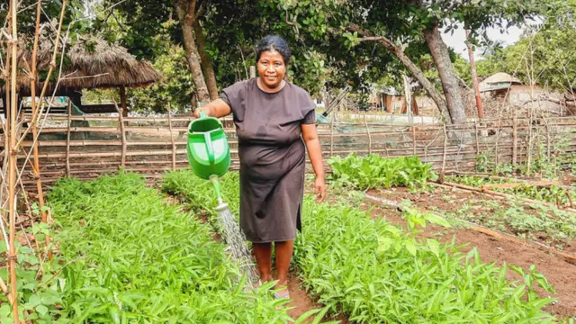 Rawat Kebun Gizi, Upaya Ibu-Ibu di Sumba Sediakan Sayur untuk Buah Hati
