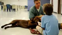 Persahabatan Anjing dan Narapidana Bantu Sembuhkan Bocah Autis