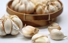 10 Herbal Penurun Tekanan Darah Tinggi Terbaik, Pilihan Alami yang Efektif