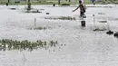 Amir (38) saat menjala ikan di genangan air yang merendam kompleks pemakaman TPU Semper, Jakarta, Selasa (2/2/2021). Banjir tersebut dimanfaatkan warga setempat untuk mencari ikan dengan menggunakan alat pancing serta jala. (merdeka.com/Iqbal S. Nugroho)