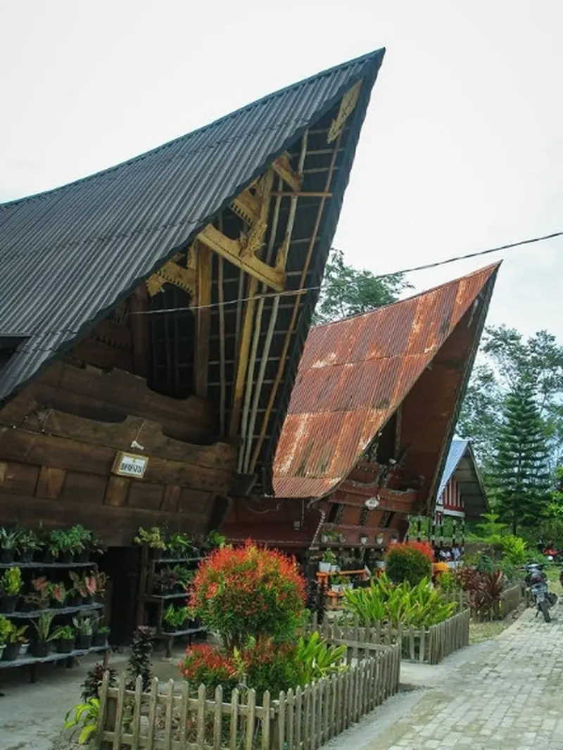 Ragam Atraksi Seru di Desa Wisata Huta Tinggi, Memerah Susu Kerbau hingga Kelas Masak