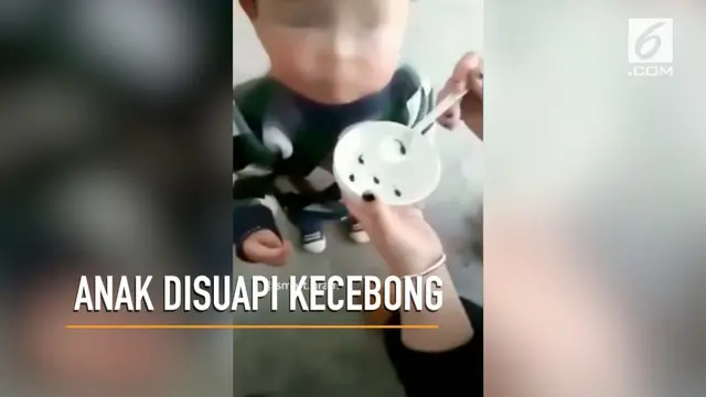 VIDEO: Ibu Suapi Kecebong Hidup ke Anaknya