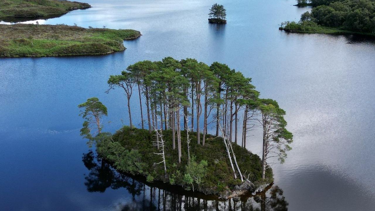 Pencarian belut raksasa atau Monster Loch Ness di permukaan selama dua hari tampaknya harus cukup untuk menangkapnya dengan kamera atau hydrophone.