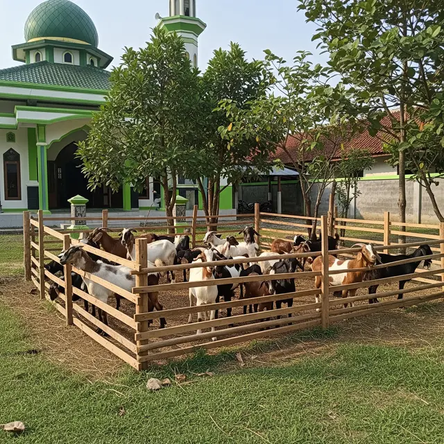 9 Ide Ternak di Area Masjid untuk Kesejahteraan Jamaah, Solusi Tingkatkan Ekonomi