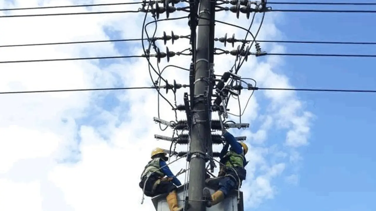 PLN