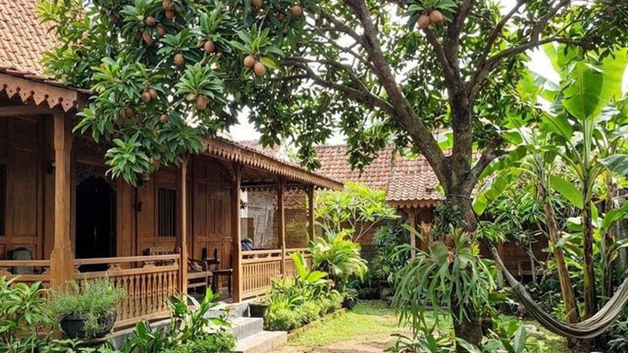 Buah Apa yang Cocok Ditanam di Halaman Belakang? Berikut 10 Tanaman Favorit Keluarga