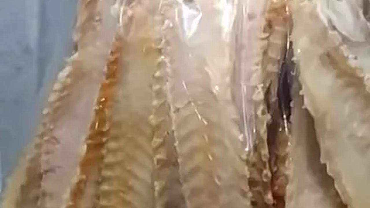 Harganya Lebih Mahal dari Daging Sapi, Ini Fakta Ikan Asin Jambal Roti Ikon Kuliner Pangandaran