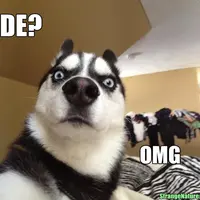 Lihat kelakuan hewan-hewan ini, hari kamu pasti langsung ceria.