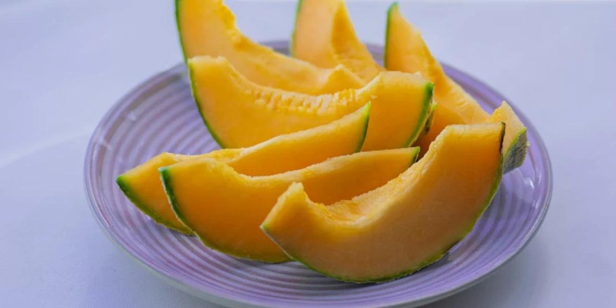 Ilustrasi melon