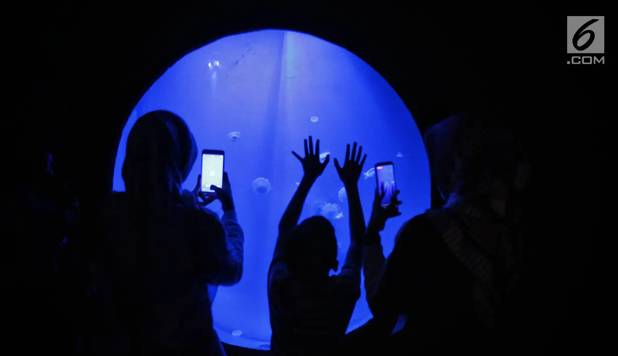Pengunjung melihat ubur-ubur di Wahana Jellyfish Sphere di SeaWorld Ancol, Jakarta, Selasa (25/12). Sea World menjadi tempat wisata alternatif warga menghabiskan libur Natal 2018. (Liputan6.com/Faizal Fanani)