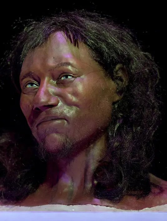 Rekonstruksi wajah Cheddar Man', di Museum Sejarah Nasional, London, (6/2). Rekontruksi ini dibuat berdasarkan hasil dari tes DNA yang dilakukan ilmuwan dari Natural History Museum Inggris dan University College London. (AFP Photo/Justin Tallis)