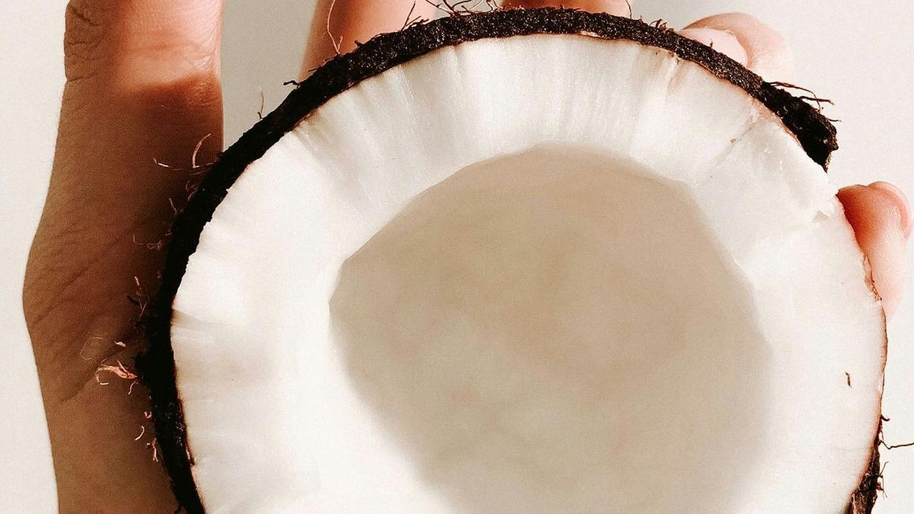 Salah satu sumber daya alam yang melimpah dalam bidang pertanian yang dimiliki Indonesia adalah perkebunan kelapa. Kelapa kerap dianggap sebagai tumbuhan serba guna karena tanaman kelapa dimanfaatkan dan digunakan dengan baik untuk keperluan pangan maupun