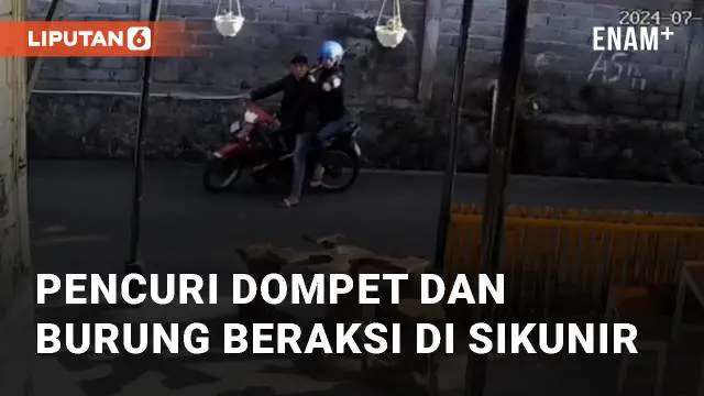 VIDEO: Detik-detik Pencuri Dompet dan Burung Beraksi di Sikunir Bergas Lor