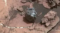 Wujud batu meteorit di tanah Mars. (Sumber: NASA Curiosity - Mashable)