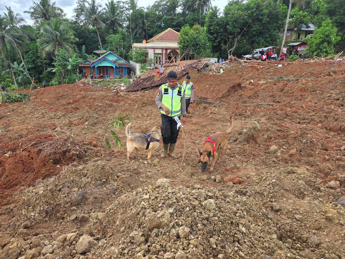 Kerahkan Anjing Pelacak, 11 Orang Korban Longsor Desa Cibeunying Cilacap Ditemukan Meninggal Dunia
