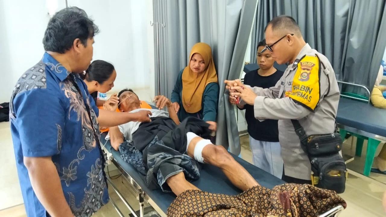 Cerita Warga Lolos dari Maut saat Diserang Buaya, Pegangan di Pohon dan Bermodal Arit