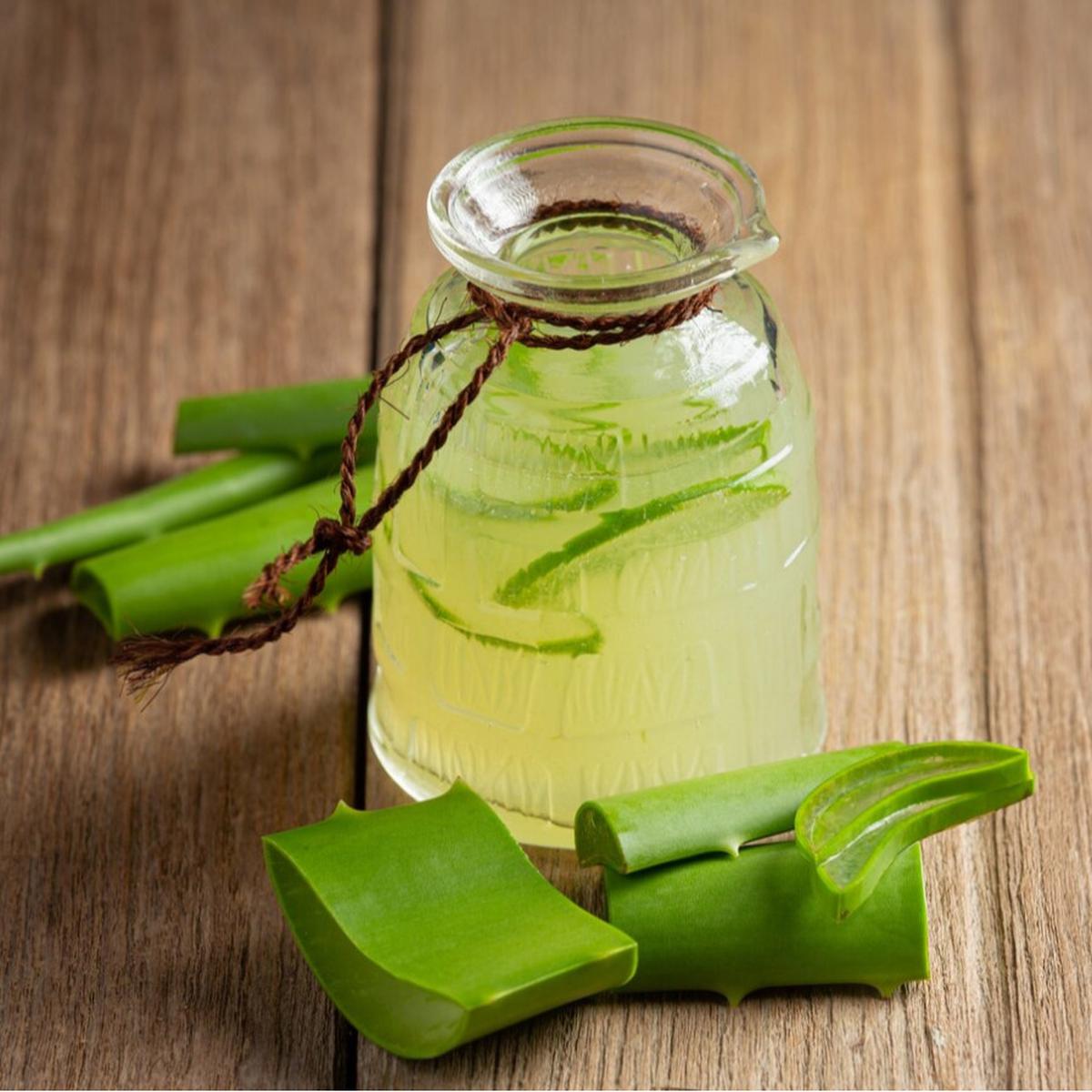 jus lidah buaya