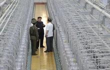 Intelijen Korsel Sebut Korea Utara Punya Cadangan Uranium Sampai 2 Ton