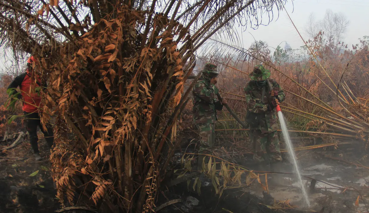 Personel TNI berupaya melakukan pemadaman di tengah pekatnya asap kebakaran lahan gambut di Kampar, provinsi Riau pada 17 September 2019. Kebakaran hutan dan lahan (karhutla) yang masih terjadi membuat sejumlah wilayah di Provinsi Riau terpapar kabut asap. (AP/Rafka Majjid)