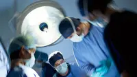 Di Balik Kontroversi Transplantasi Kepala Monyet, Cari Perhatian?