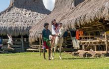 Bukan di Luar Negeri, 4 Surga Tersembunyi Ini Ternyata Bisa Dijumpai di Sumba