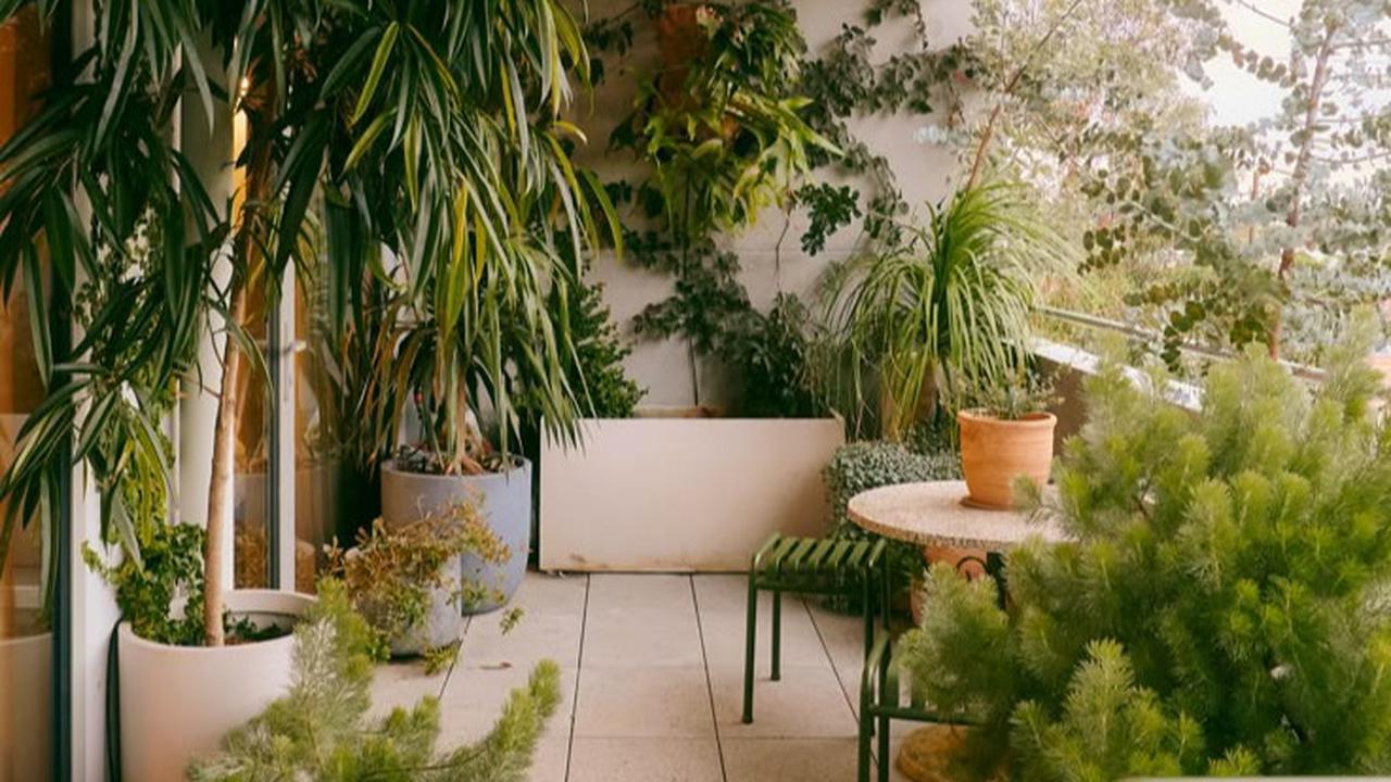 Ilustrasi Taman Rimbun di Balkon (©Pinterest)