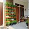 Ide Urban Farming Sederhana untuk Rumah Type 36 (AI)
