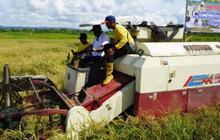 Wamentan Sebut Cetak Sawah Hari Ini Tak Bisa Tiba-Tiba Langsung Panen