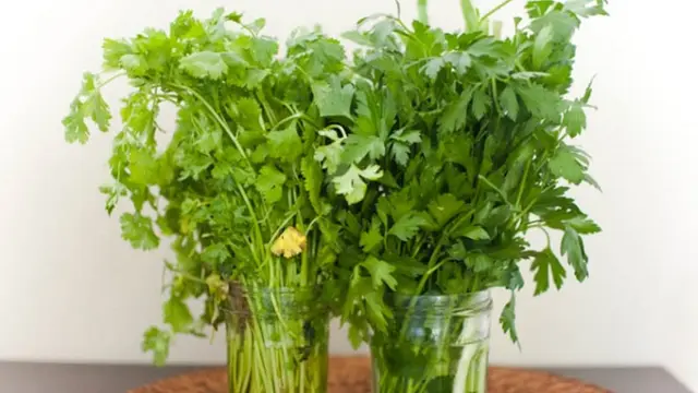 [Bintang] 8 Tips Menata Rumah yang Bikin Tamu Terkesan Saat Datang