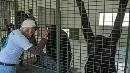 Presiden Great Apes Project (GAP), Pedro Ynterian berinteraksi dengan seekor simpanse di tempat perlindungan di Socoraba, Brasil (28/7). Di tempat ini simpanse mendapat perawatan dan perlindungan. (AFP Photo/Nelson Almeida)