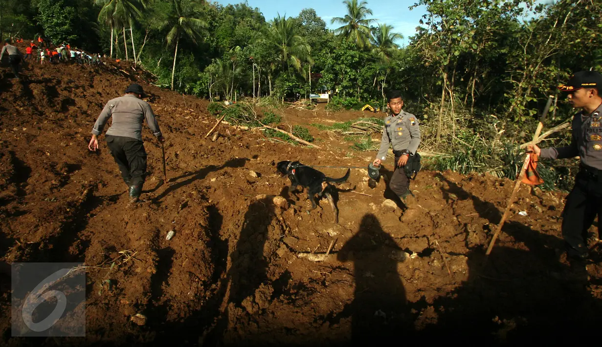 Sejumlah personel kepolisan melakukan pencarian korban longsor di Dusun Caok, Desa Karangrejo, Purworejo, Selasa (21/6). Pencarian korban yang tertimbun juga melibatkan anjing pelacak dari kepolisian. (Liputan6.com/Boy Harjanto)